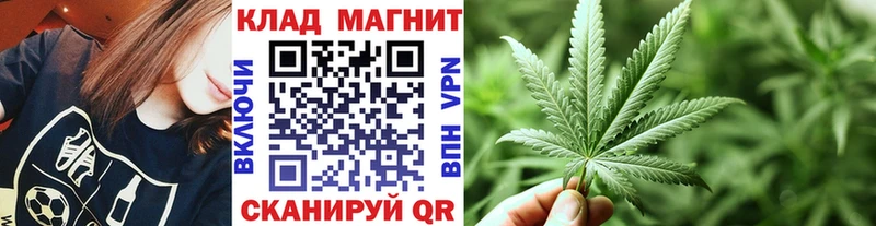 Где купить наркотики Ядрин COCAIN  Амфетамин  МЕГА зеркало  ГАШ  Героин  А ПВП  Канабис 