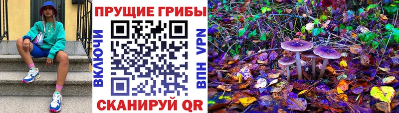 Галлюциногенные грибы Magic Shrooms Ядрин