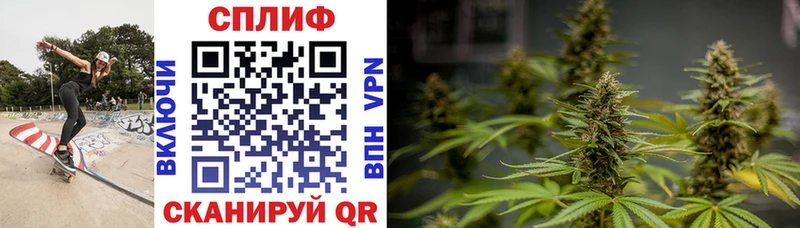 Шишки марихуана VHQ  дарнет шоп  Ядрин 